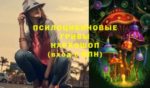кокс Баксан