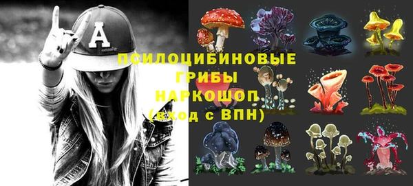 кокс Баксан